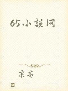 65小说网
