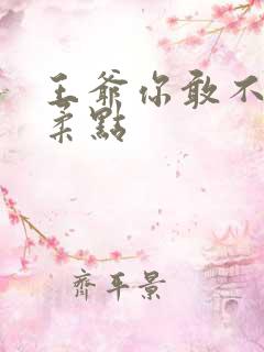 王爷你敢不敢温柔点