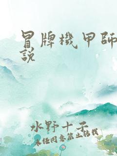 冒牌机甲师 小说