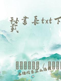 秘书长txt下载