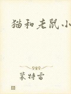 猫和老鼠小说