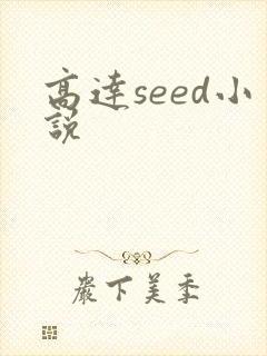 高达seed小说