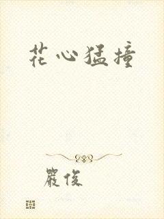 花心猛撞