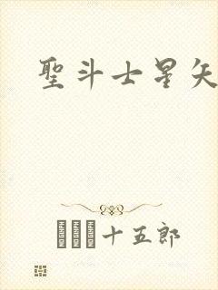 圣斗士星矢小说