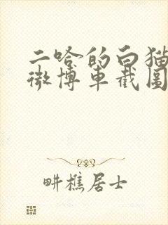 二哈的白猫师尊微博车截图