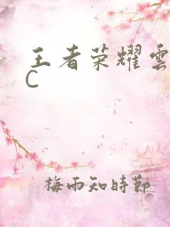 王者荣耀云缨被C