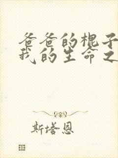 爸爸的棍子顶着我的生命之门