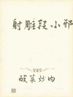 射雕段小邪传