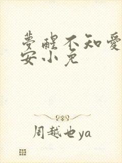 梦醒不知爱欢凉安小免