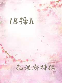18号h