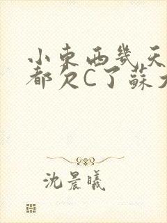 小东西几天没做都欠C了苏大深