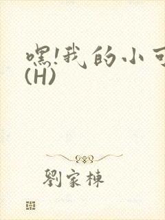 嘿!我的小可爱(H)