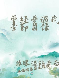 曾经爱过我刘念章节目录