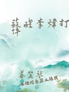 苏醒李炜打架事件