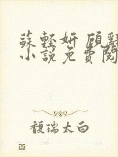 苏轻妍 顾辞笙小说免费阅读