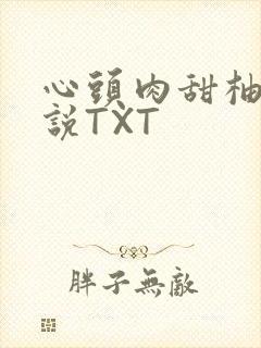 心头肉甜柚子小说TXT