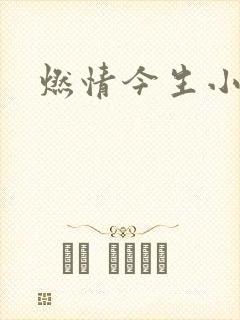 燃情今生小说