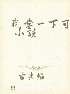 我尝一下可以吗 小说