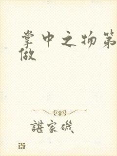 掌中之物第一次做