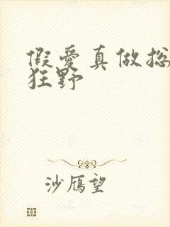 假爱真做总裁太狂野