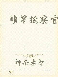 明星检察官小说