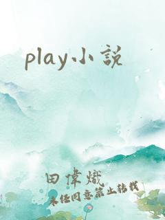 play小说
