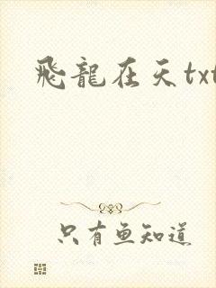 飞龙在天txt
