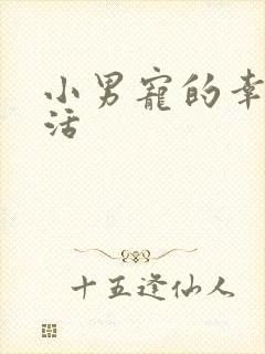 小男宠的幸福生活