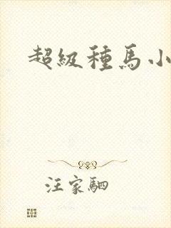 超级种马小说