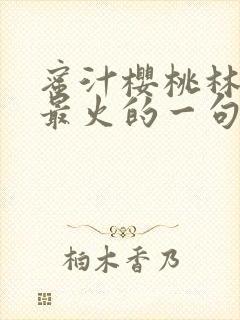 蜜汁樱桃林妙妙最火的一句