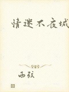 情迷不夜城