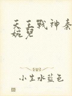 天王战神秦武林婉儿