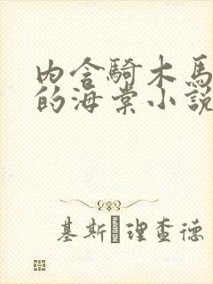 内含骑木马情节的海棠小说男主