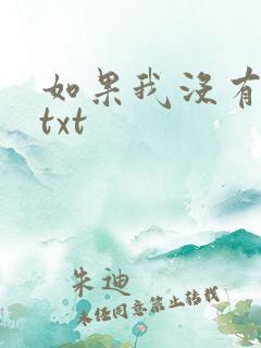如果我没有爱过txt