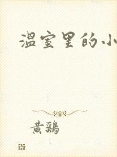 温室里的小百合