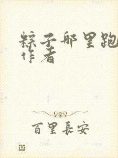 粽子哪里跑小说作者