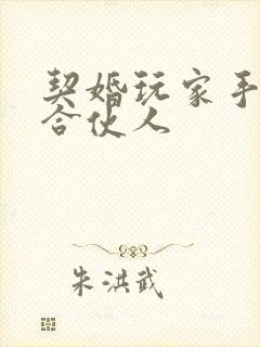 契婚玩家手册之合伙人