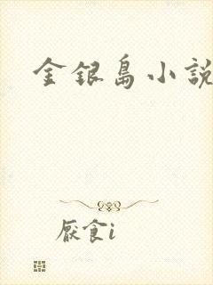 金银岛小说