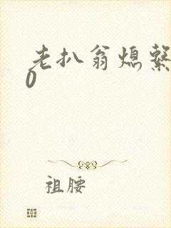 老扒翁熄系列40