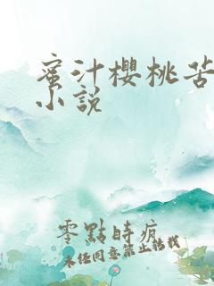 蜜汁樱桃苦咖啡小说