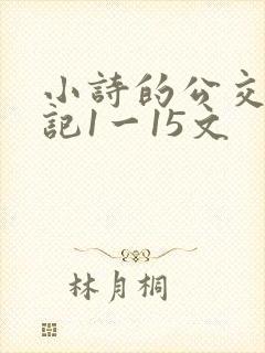 小诗的公交车日记1一15文