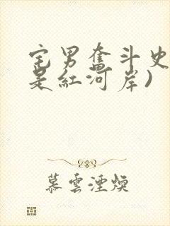 宅男奋斗史(天是红河岸)