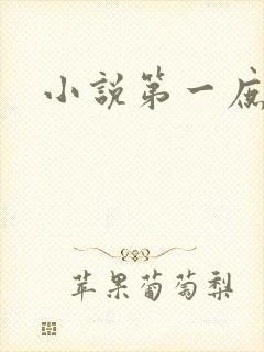 小说第一庶女
