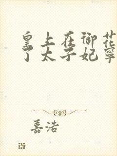 皇上在御花园C了太子妃宁儿