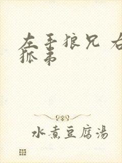左手狼兄 右手狐弟