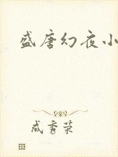 盛唐幻夜小说