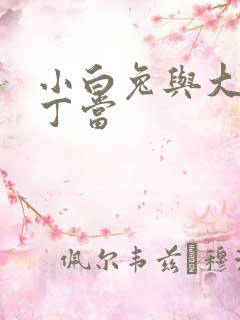 小白兔与大灰狼丁当