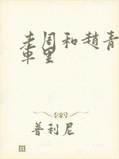 老周和赵青在货车里