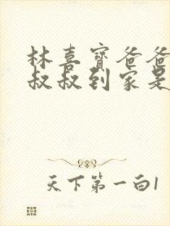 林喜宝爸爸叫李叔叔到家是哪一集