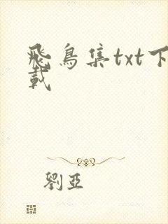 飞鸟集txt下载